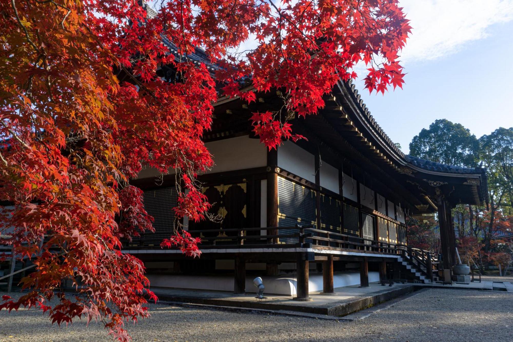 Tokyu Stay Kyoto Sakaiza Shijo Kawaramachi Exterior foto